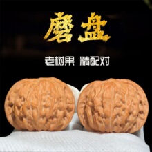 ĥ�P�{���^���搞�����������ʿ�ղ������ǰת{���䌦�Ϙ��