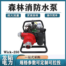 ��̧ʽ�����÷������ͻ�������ˮ��Wick-250ɭ�ֱ���ʽ����ˮ��