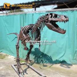 厂家直供恐龙骨架模型 玻璃钢古生物模型 主题公园场景供应商