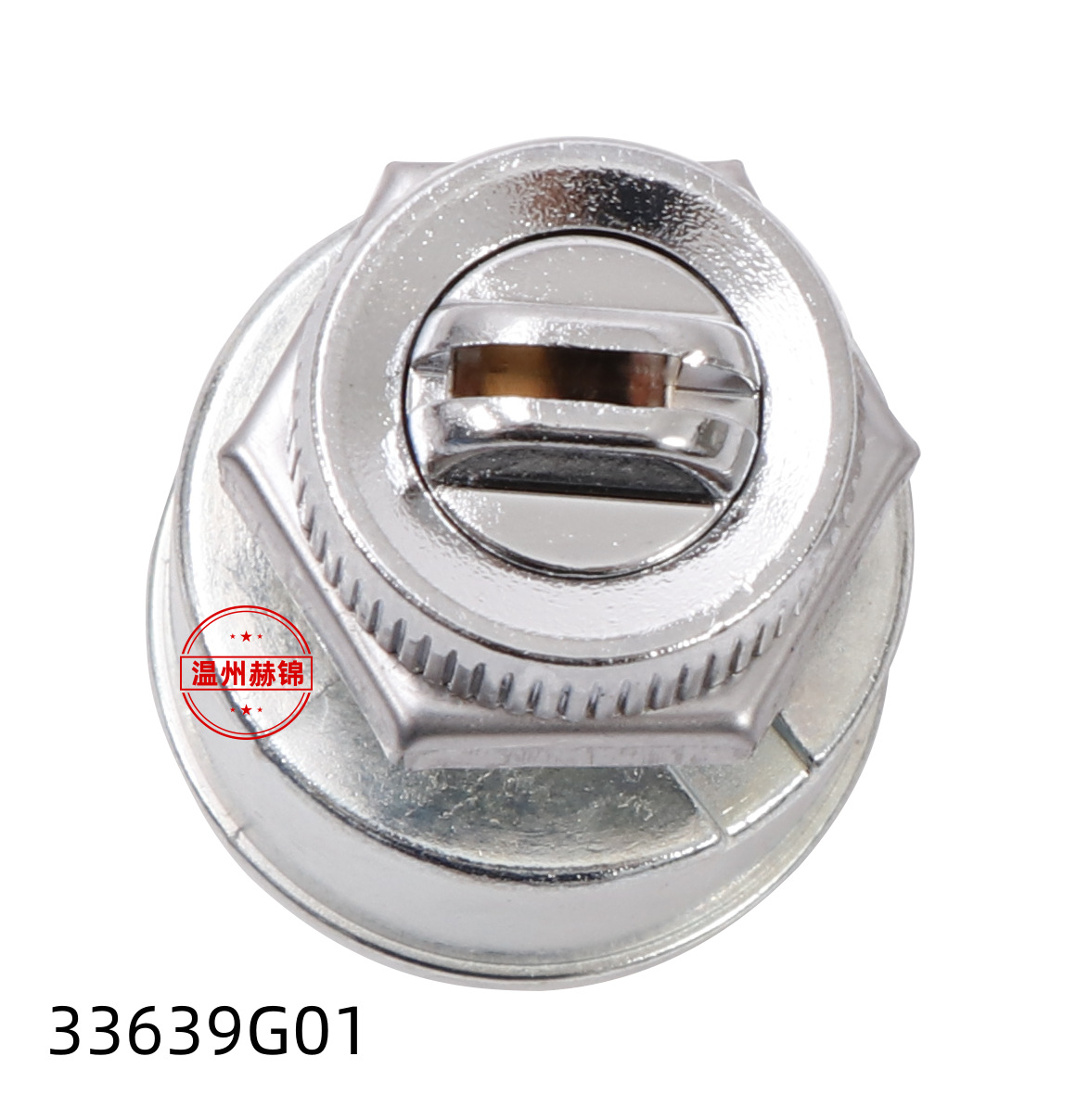 33639-G01 Golf Cart Ignition Starter Switch with Key for Sightseeing Cart, suitable for TXT EZGO