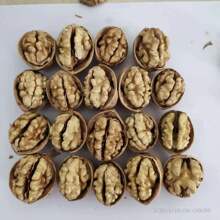 ���l�����ʺ決ԭ���������ʰ׶�·�ж���·�ɳ��� ɢ�b�������