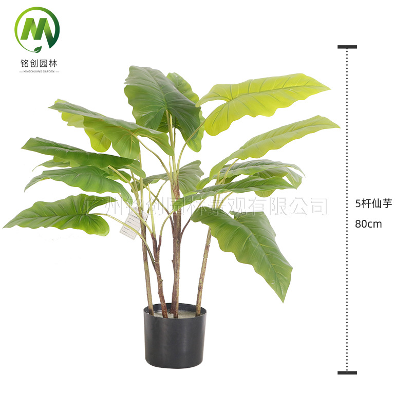 Paisaje interior del suelo, planta pequeña de hoja grande, planta pequeña, planta de taro de hadas, 60cm, planta verde de simulación de monstera, planta pequeña en maceta image 3