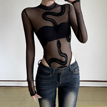 �OӋ��ֲ�q�߼y�Ը�͸ҕ�W���B�w��С�������L����I�����L������