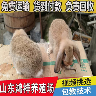 ���͹������Bֳ���جF؛���⹩�����w�����ü��N������һ�����]