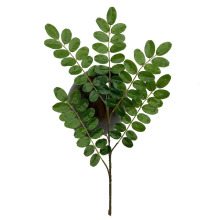 仿真植物刺槐树叶绿植槐树树榆树叶枣树叶景观树枝园林绿化装饰树