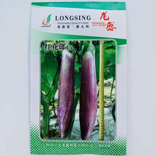 龙盛红花郎红竹丝长茄种子风味独特早熟高产抗病商品性佳春秋播种-阿里巴巴