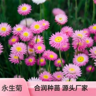 �����ջ��N �ͺ��ͺ��׳ɻ� �ɻ����û��� ����ֱ������ă�