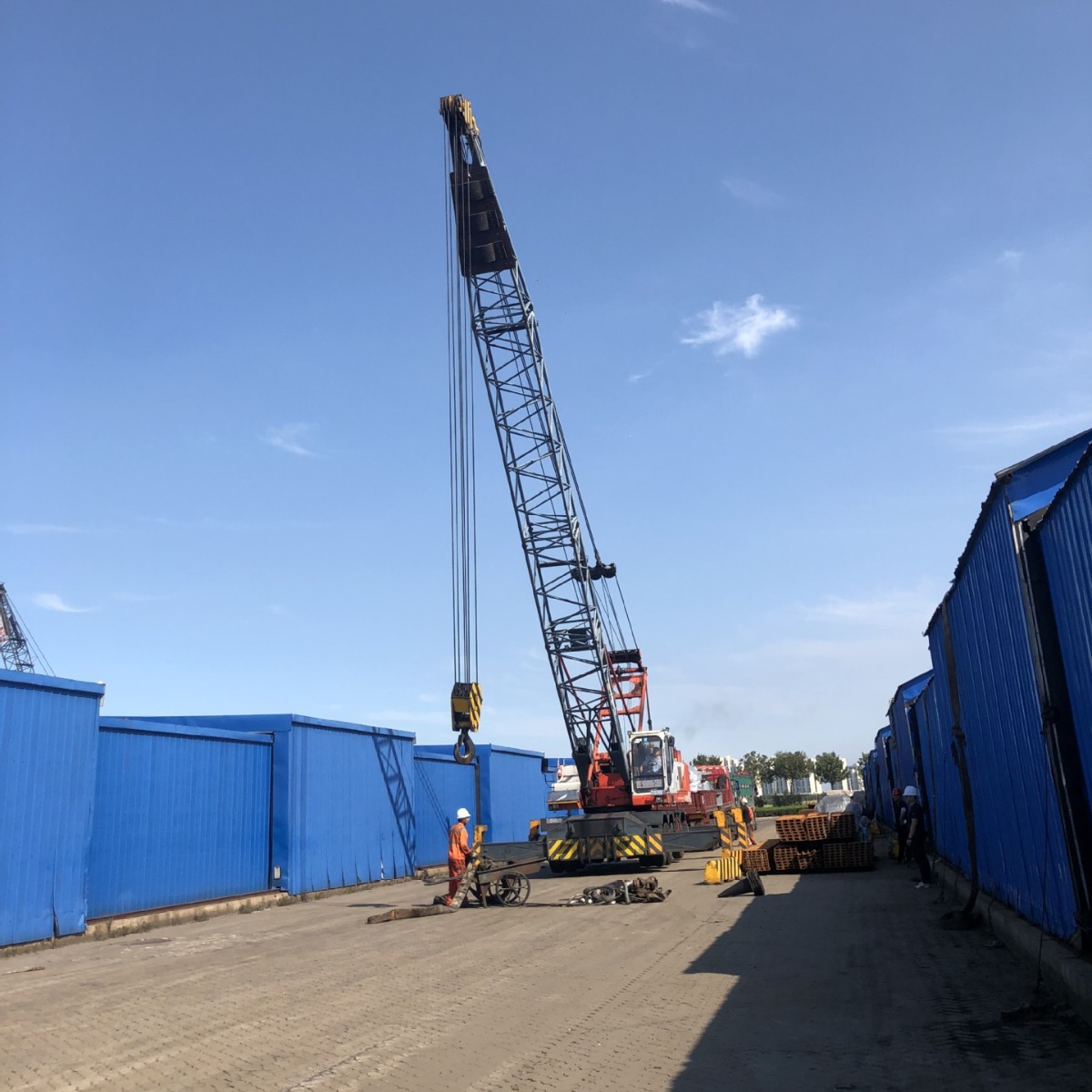 提供国际拼箱海运 天津港到阿联酋迪拜国际海运服务