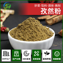 硕果孜然粉商家用炒菜烧烤调味料空气炸锅烤肉撒料散装批发