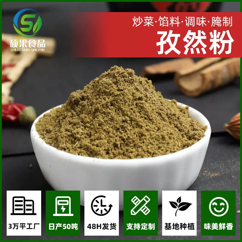 硕果孜然粉商家用炒菜烧烤调味料空气炸锅烤肉撒料散装批发
