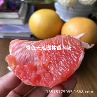 ����̨���������������֘����ϷǼt�����֮������������Թ�����
