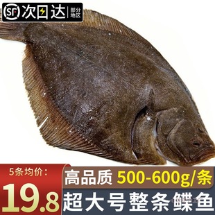 ���l�l�~���~��l�~����̖���~�fƬ�~���r�����Ŀ�~������Ƭ�~