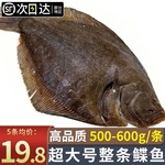 整条鲽鱼蝶鱼深海鲽鱼身大号碟鱼鸦片鱼新鲜冷冻比目鱼商用雅片鱼