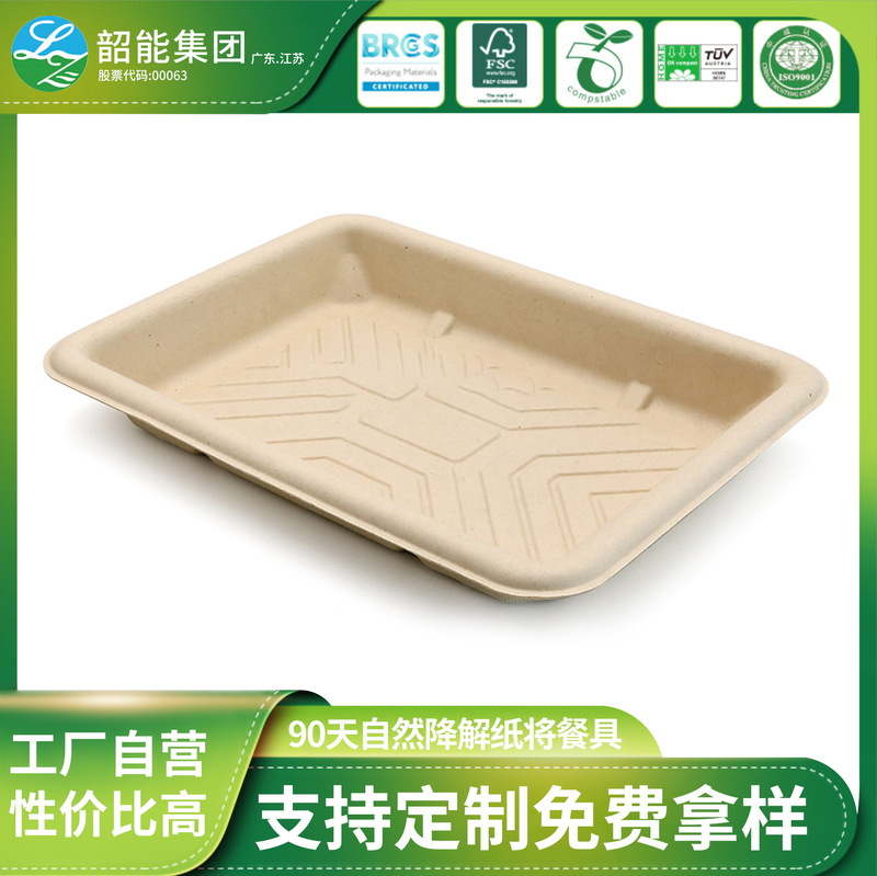 Customized Disposable Pulp Tray, Oil-Proof, Anti-Scalding, Thickeneded Plate with Lid, Customizable Printed Logo Disposable Plate