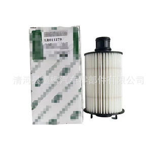 LR011279  OX774D �l�F ���� XFL XF  �C�͞V�����C�͞Vо