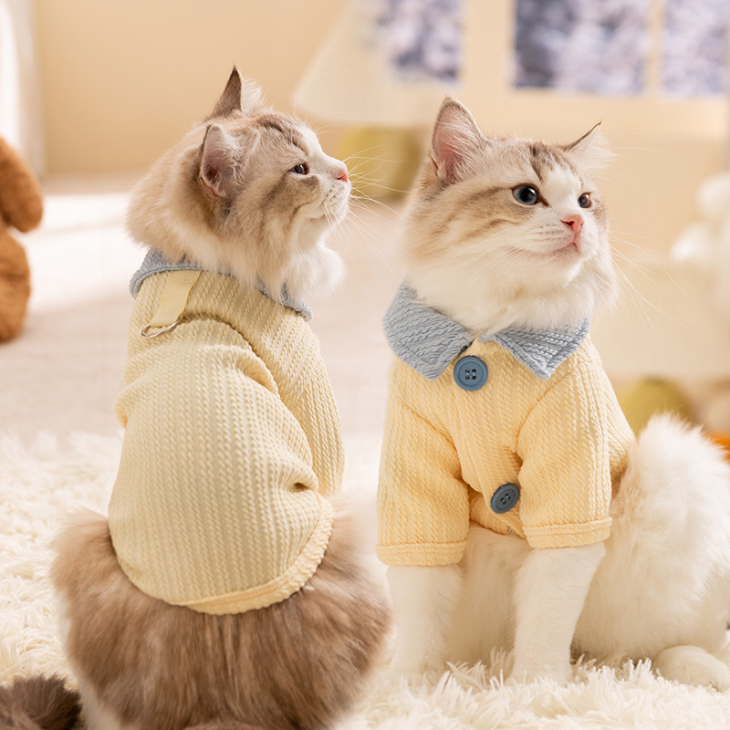 Gato otoño e invierno estilo casual lindo cachorro camisa de fondo a juego de color perro mediano y pequeño perro ropa de dos patas ropa para mascotas