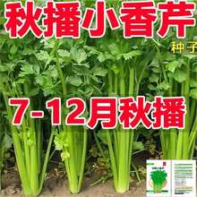 ·NļС۷Nˮ۲˷NӴ̨߲˷N