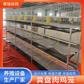弹簧门粪盘肉鸡笼鸡舍养殖镀锌铁丝鸡笼子养鸡场三层两门鸡笼鸭笼