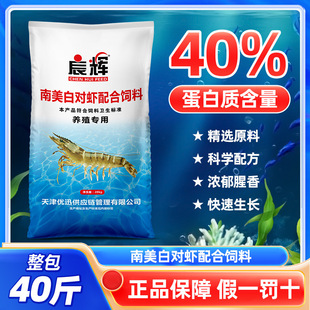 �����׌��r���40��ߵ������r�_���r���r���r�����Bֳ�������l