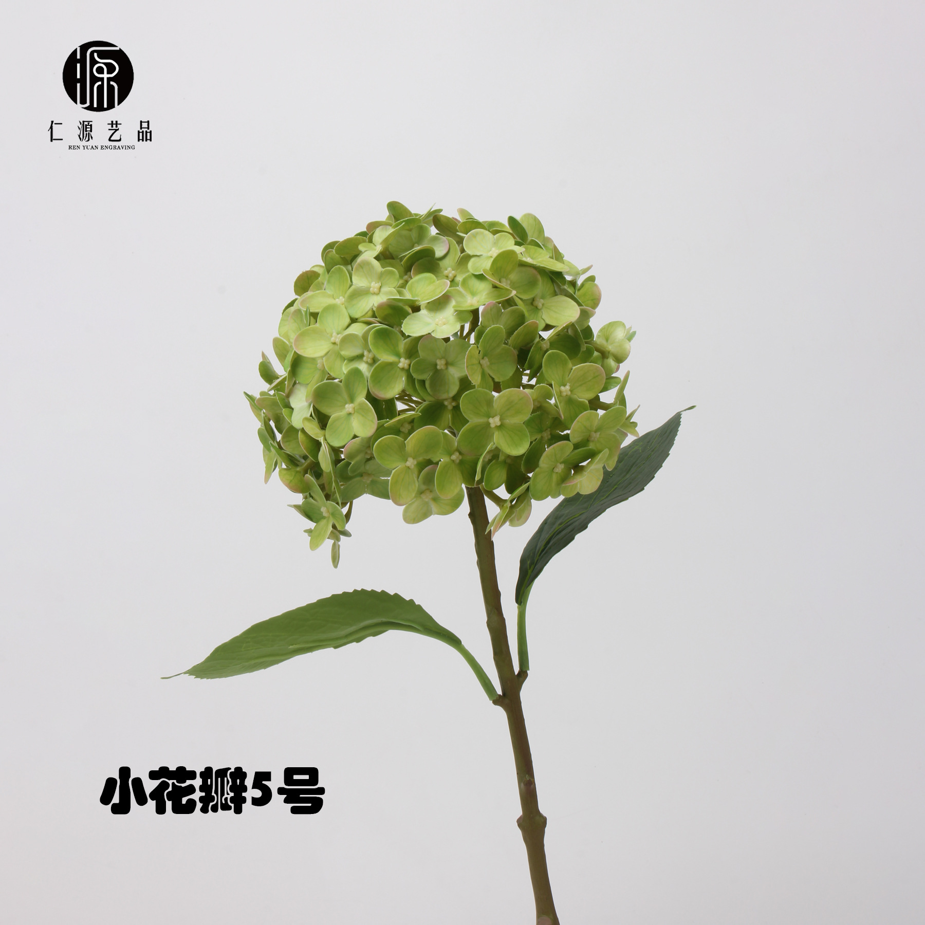그린-5