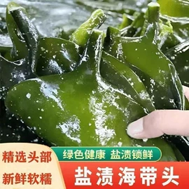 海带;紫菜;水产干货类