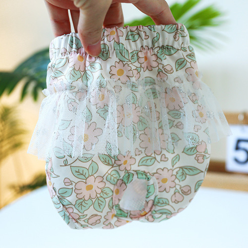 Pet dog menstrual pants, cute skirt lace pants, Teddy safety sanitary pants, star point anchor gauze menstrual pants