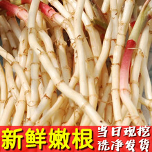 �~�Ȳ��۸����r�F���۶����ȶ��������~�ǲݺ����Ĵ��خa�߲˛���