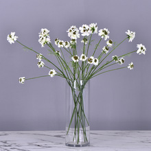 �S��ֱ�N�����{�軨�͏d�Ƶ�Ӱ��g�b��r�շ��滨�L܇�����x��