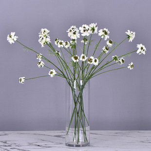 �S��ֱ�N�����{�軨�͏d�Ƶ�Ӱ��g�b��r�շ��滨�L܇�����x��