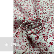 变形虫腰果花小碎花 平纹弹力棉府绸印花布料 衬衫连衣裙面料厂家