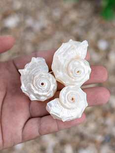 ����ؐ���y�ڈA���ݾ�ؐ�~�ľ�з��Q���~���쾰�[���ֹ�diy