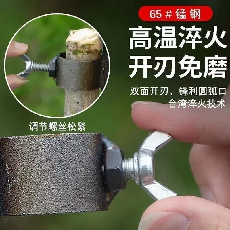 微信图片_202504180957502.jpg