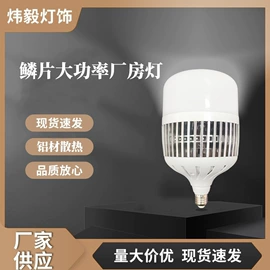LED球泡灯;LED玉米灯;射灯