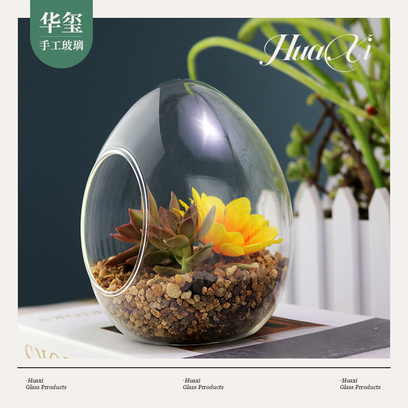 Micro-Landscape Glass Bottle Transparent DIY Landscaping Bottle Green Hydroponic Succulent Plant Ecological Bottle Moss Egg-Shaped Bottle