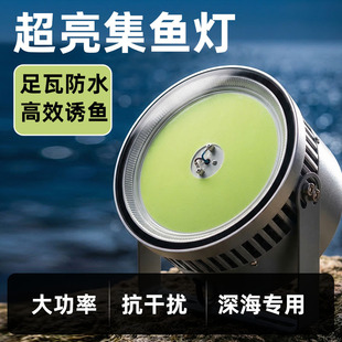 多功能碳素鱼竿