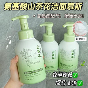 Tiktok Same Style Amino Acid Camellia Facial Cleanser 600ml Large Capacity Foaming Skincare Dense