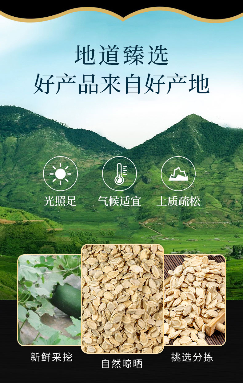 Dong Gua Zi (Benincasa hispida Seed) — Dried Winter Melon Seed, Food Herb for Tea & Soup overview