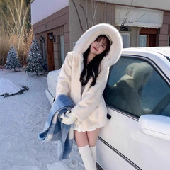 初雪が環境保護のミンクの毛の超大きい毛の襟に来ます。