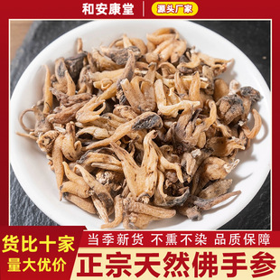 �������ڷ��օ���ș�ğo����؛���ƅ��o���ӕ�ɴ󂀷��օ��Ҝ���