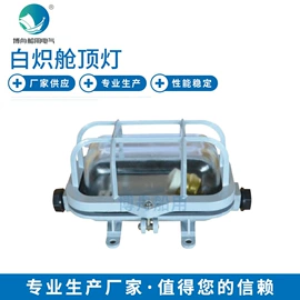 其他专用灯具;信号灯;船型开关