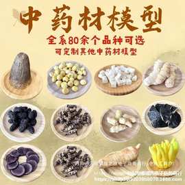 中药材陈列标本医学院校中医中药材中医科谱橱窗摆设药材标本模型