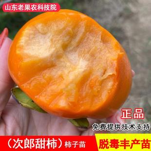 �޽��ձ����������Ә����ش�����������ϱ����Nֲ����Y��������