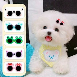 猫猫零食;猫猫玩具;猫猫窝/笼/垫