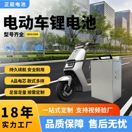 锂电池;蓄电池;其他电池