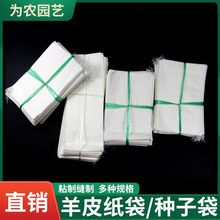 小麦玉米杂交袋子硫酸纸授粉隔离套育种套袋套袋羊皮纸袋缝制粘制