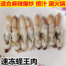 ���r����|��������|�������|�⺣�|������ʳ��ȫ�����r���l