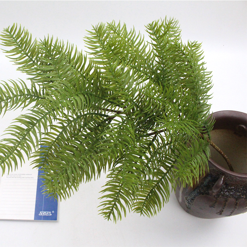 刺杉 XRB-333 (9).jpg