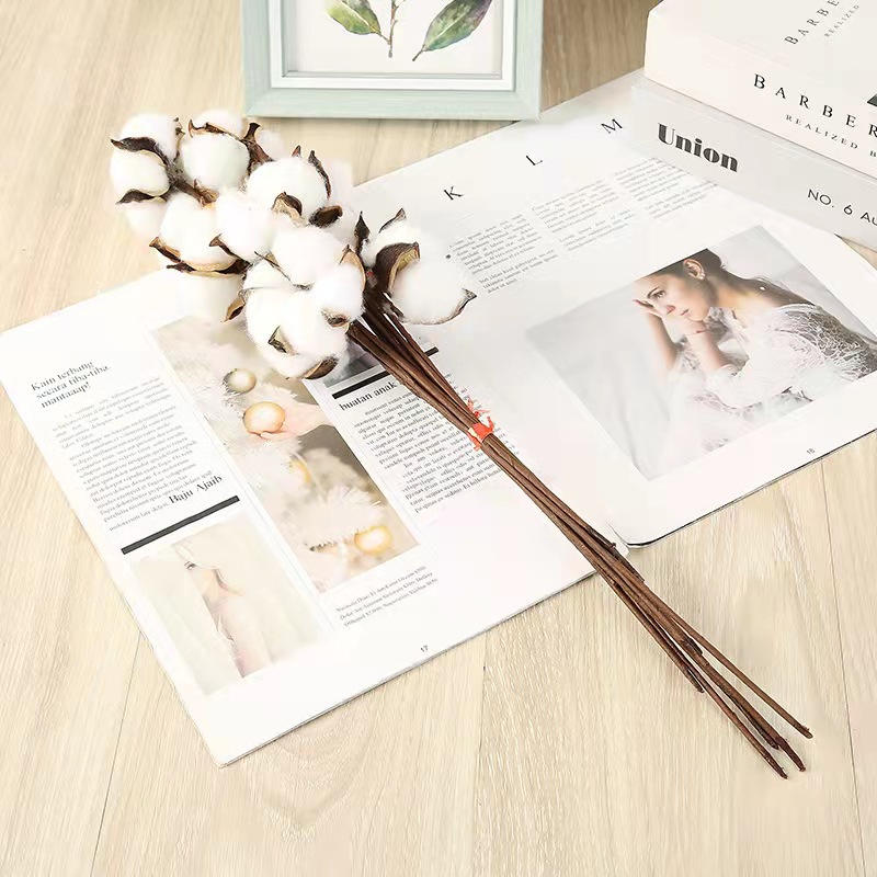 6455ae07cc2a99c359b71e9a5ebd11