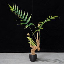 Ƭާ~҃ȻUʽ^ާ~Gֲbާֲ쾰~