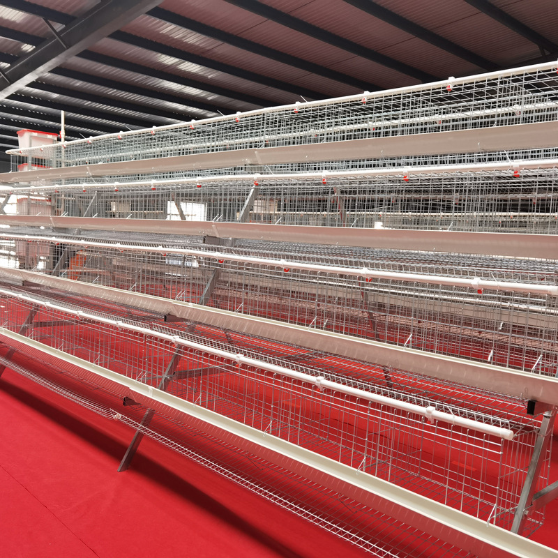 Capacidad de cría de gallinas de huevos de cuatro capas y cuatro puertas de gallinas para criar gallinas de huevos de huevos de tanque de alimentación verde de tanque de alimentación blanco equipo de cría